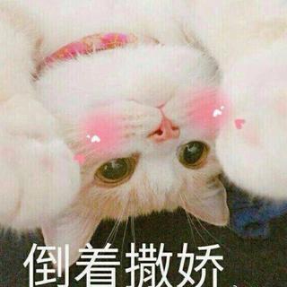 好听到疯的英文歌
