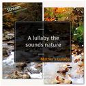 자연의 소리를 담은 자장가 (Stream)_A lullaby the sounds nature (Stream)