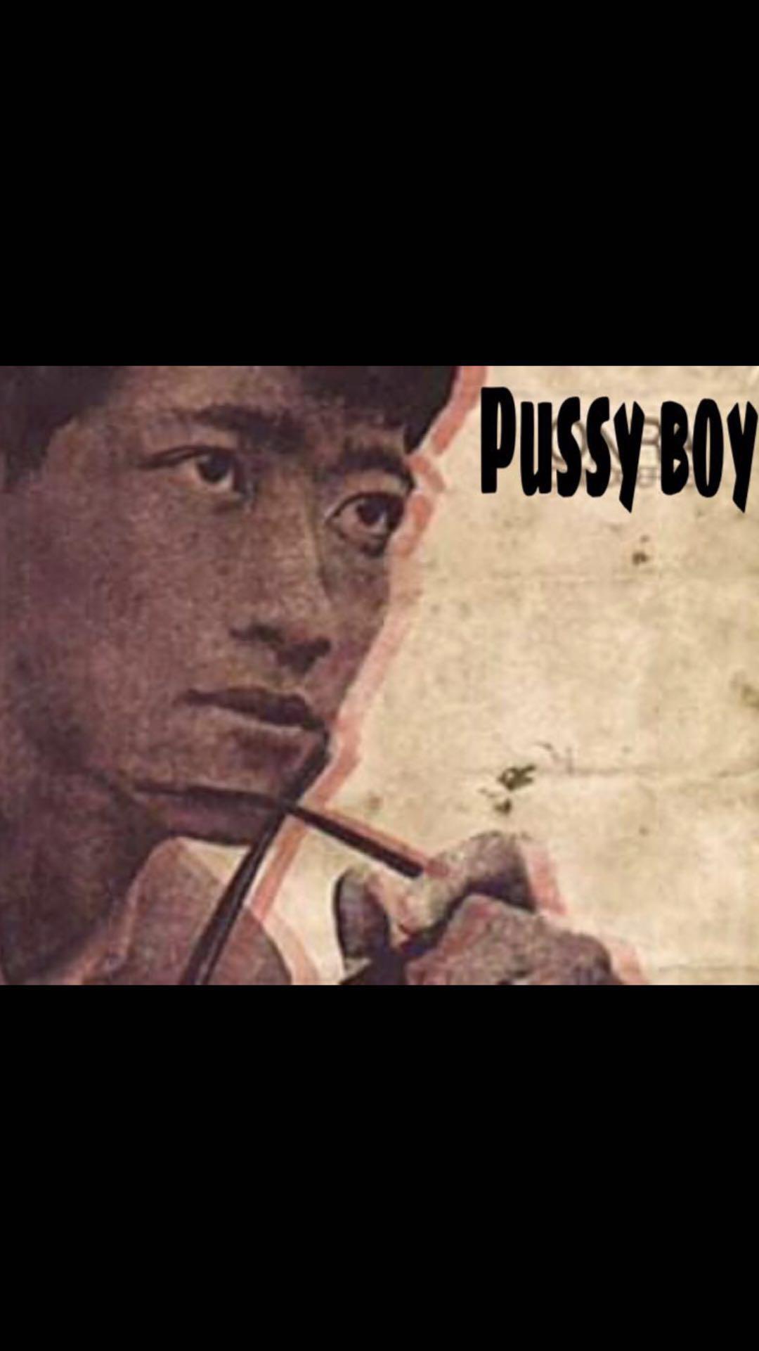 Pu**yBoy专辑