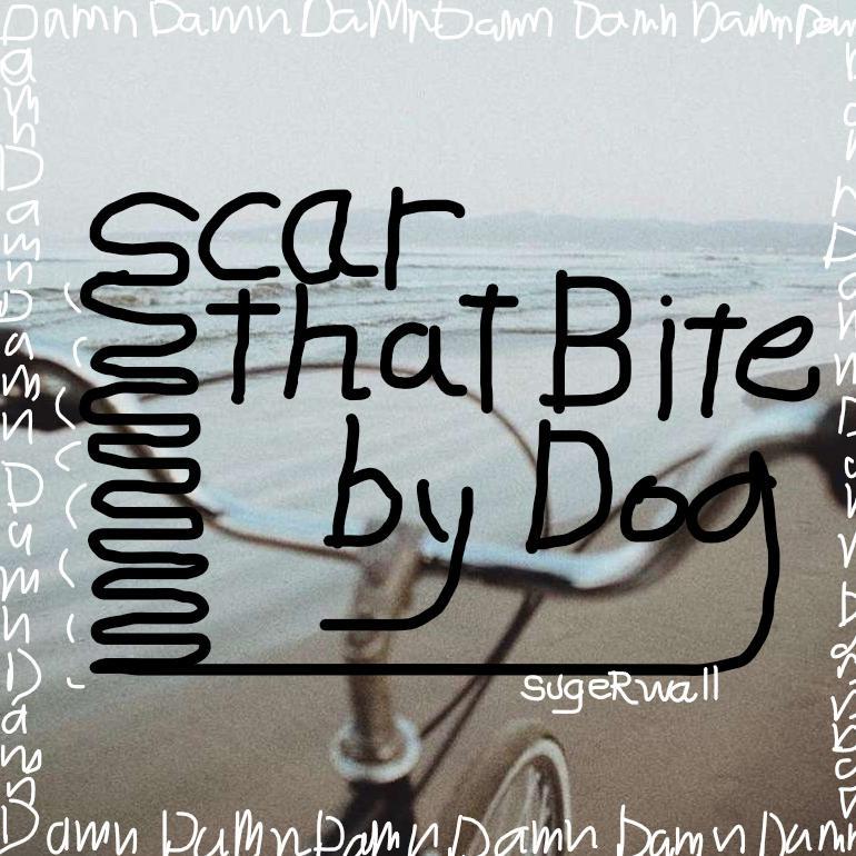 Scar that bite from dog专辑