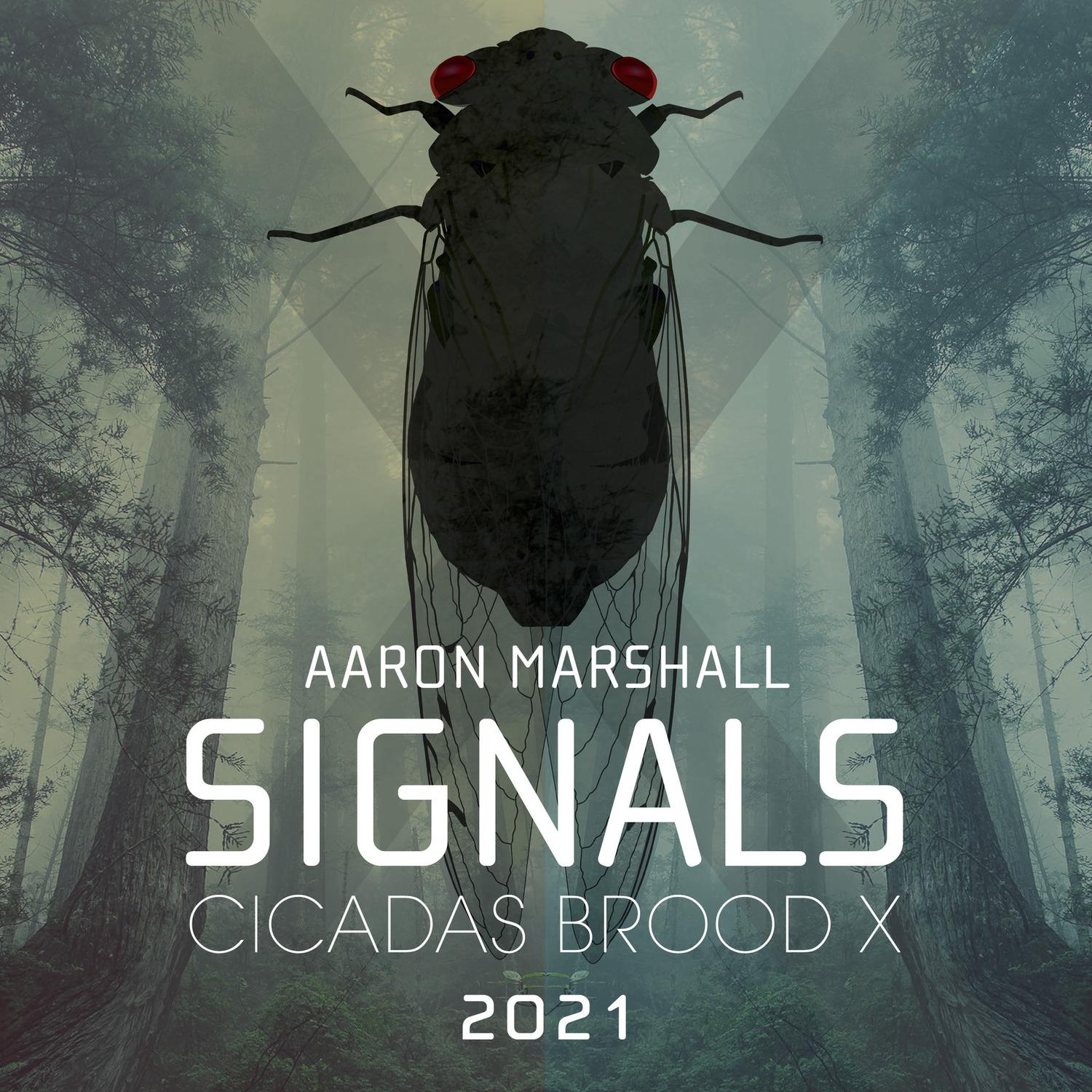 Signals (Cicadas Brood X 2021)
