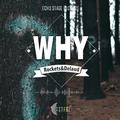 Rockets & Delaud - WHY