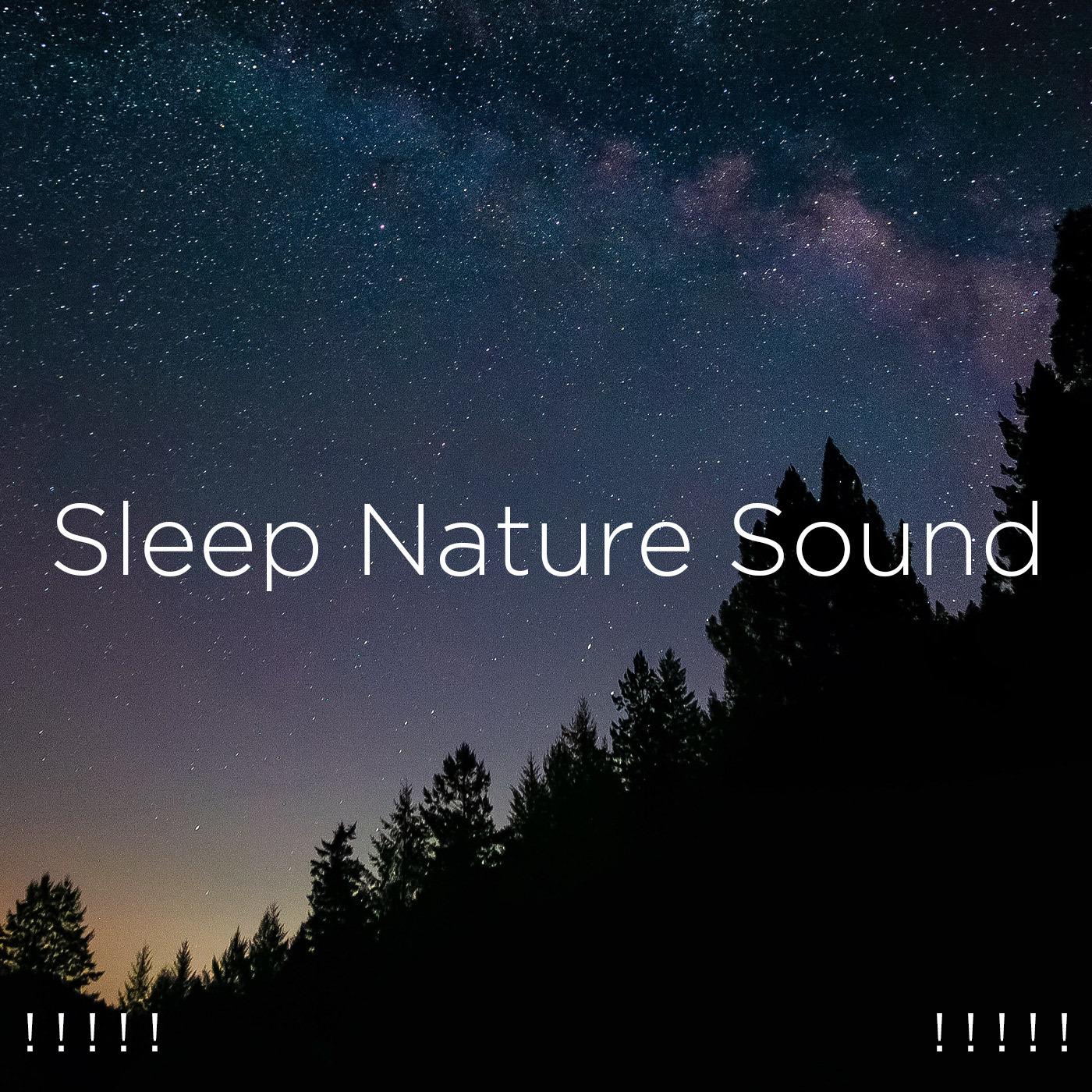 ! ! ! ! ! Sleep Nature Sounds ! ! ! ! !