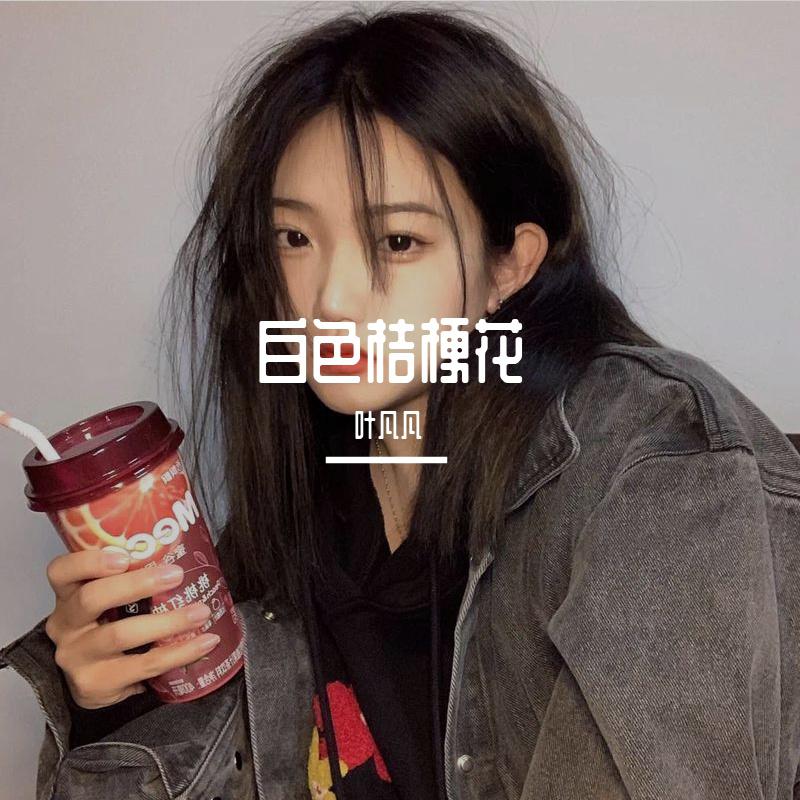 白色桔梗花
