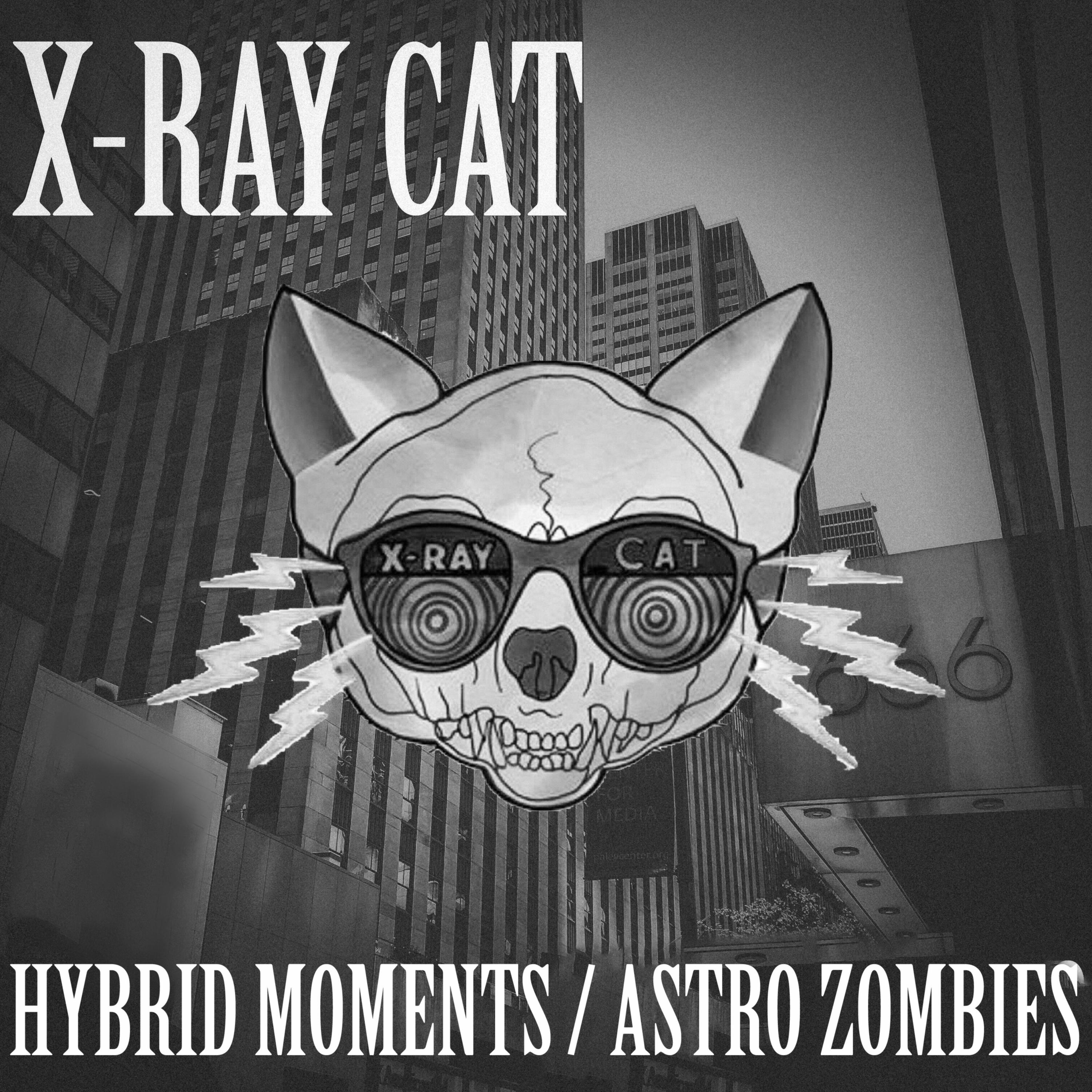 Hybrid Moments/Astro Zombies专辑