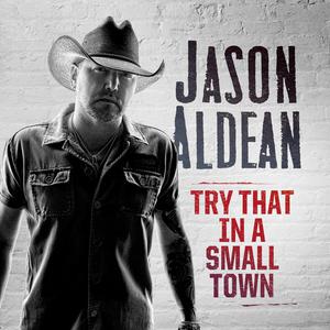 Jason Aldean - Try That In A Small Town (BK Instrumental) 无和声伴奏 （降4半音）