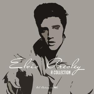 Surrender - Elvis Presley (PT karaoke) 带和声伴奏