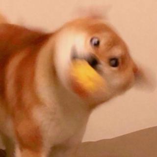 ！〈智源起床跑操铃 不完全收录〉！