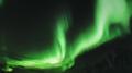 Greenlights专辑