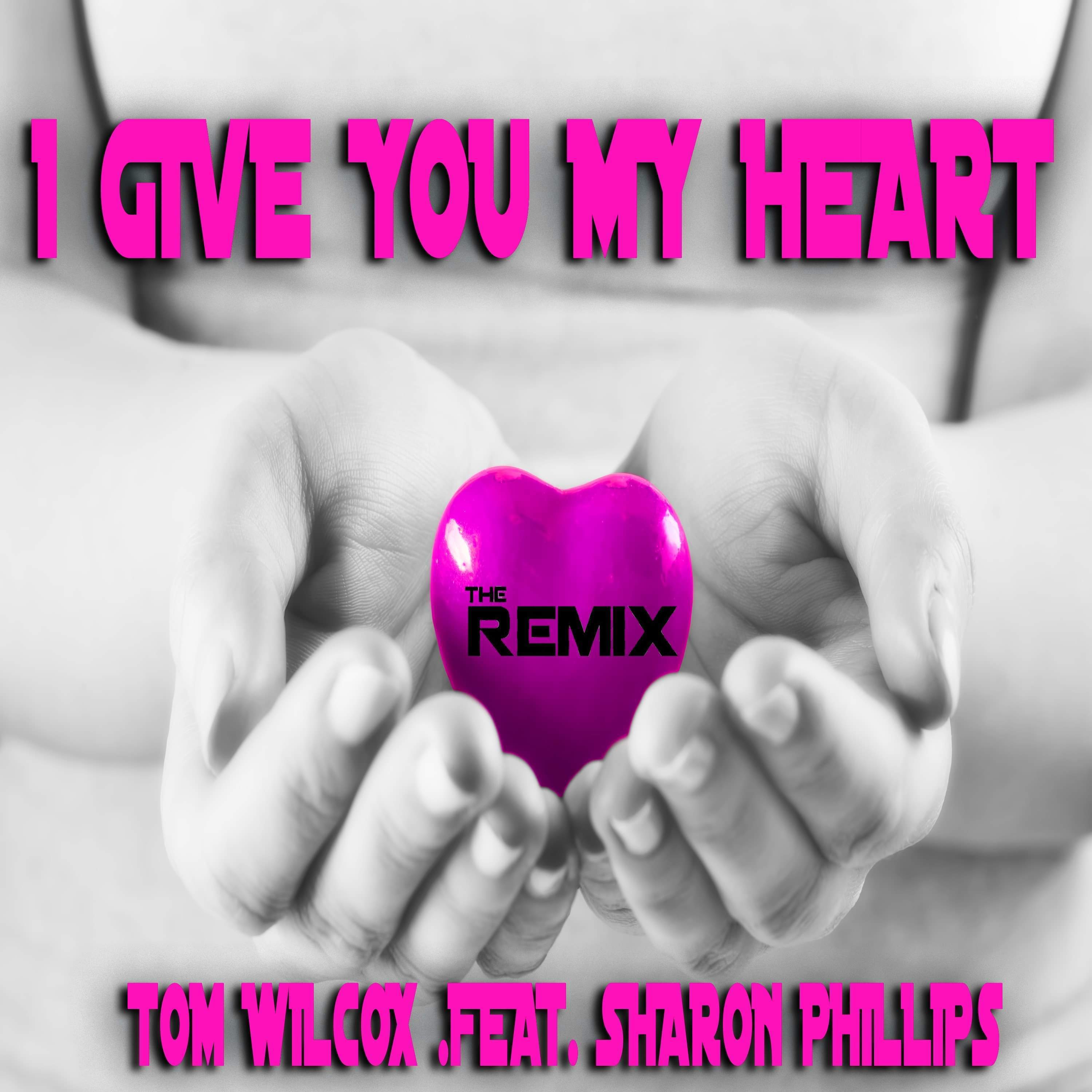 I Give You My Heart (The Remix)