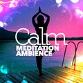 Calm Meditation Ambience