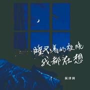 睡不着的夜晚我都在想