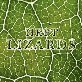 Lizards