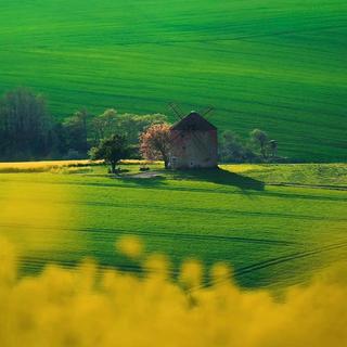 治愈纯音乐 | 舒适 轻缓 治愈 静心 灵感向