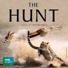 The Hunt (Original Soundtrack)专辑