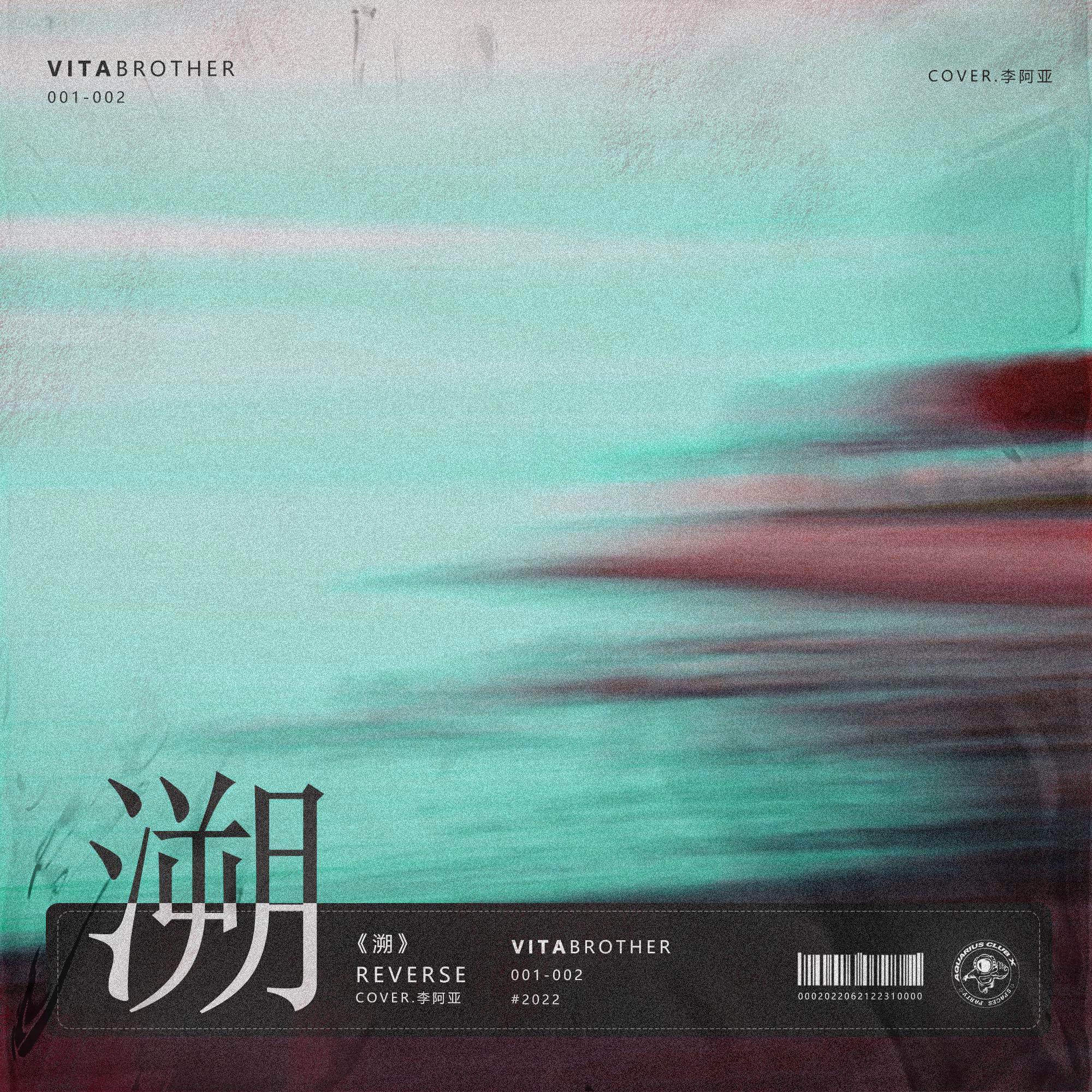 VitaBrother歌曲封面