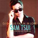 DJ Got Us Falling In Love专辑