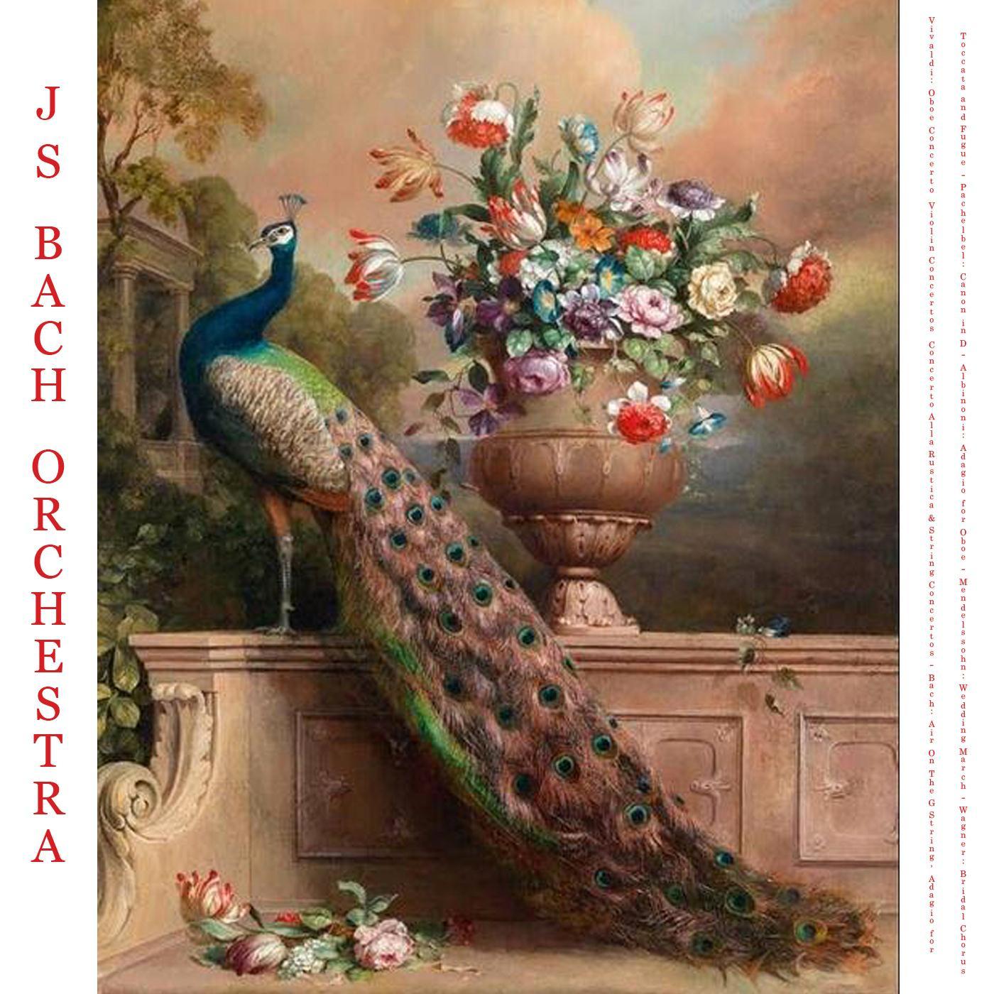 J.S. Bach Orchestra - Concerto for Violins and Strings in D Major, Op. 3, No. 9, Rv 230 