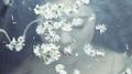 Like A Flower - The 1st Mini Album