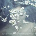 Like A Flower - The 1st Mini Album专辑