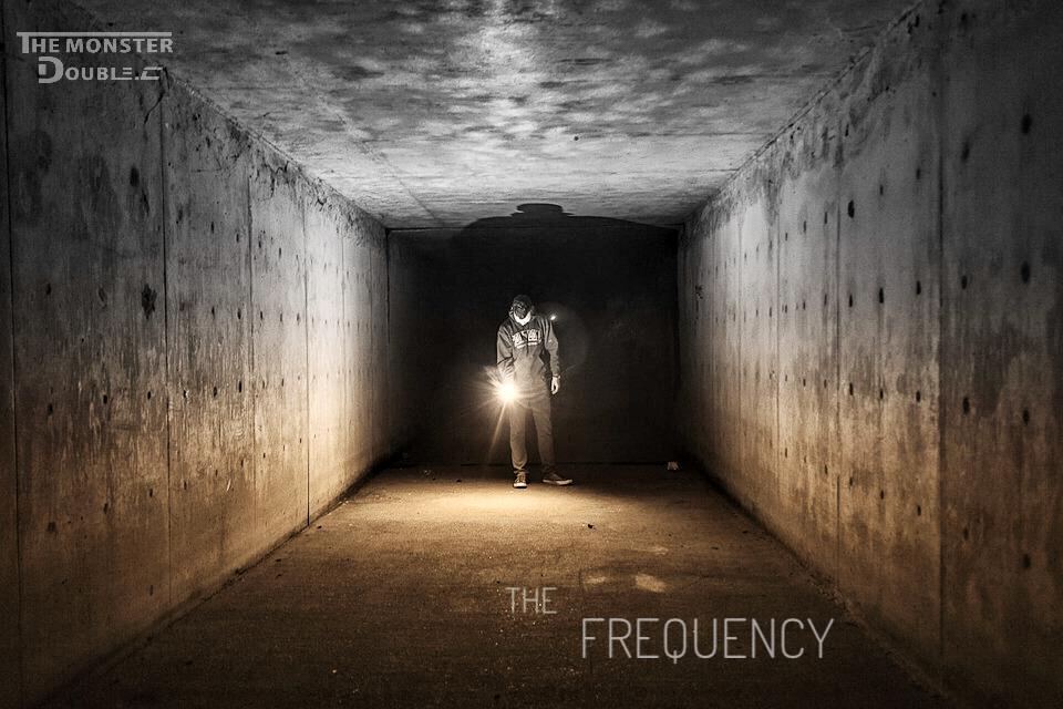 The Frequency(Original Mix)专辑