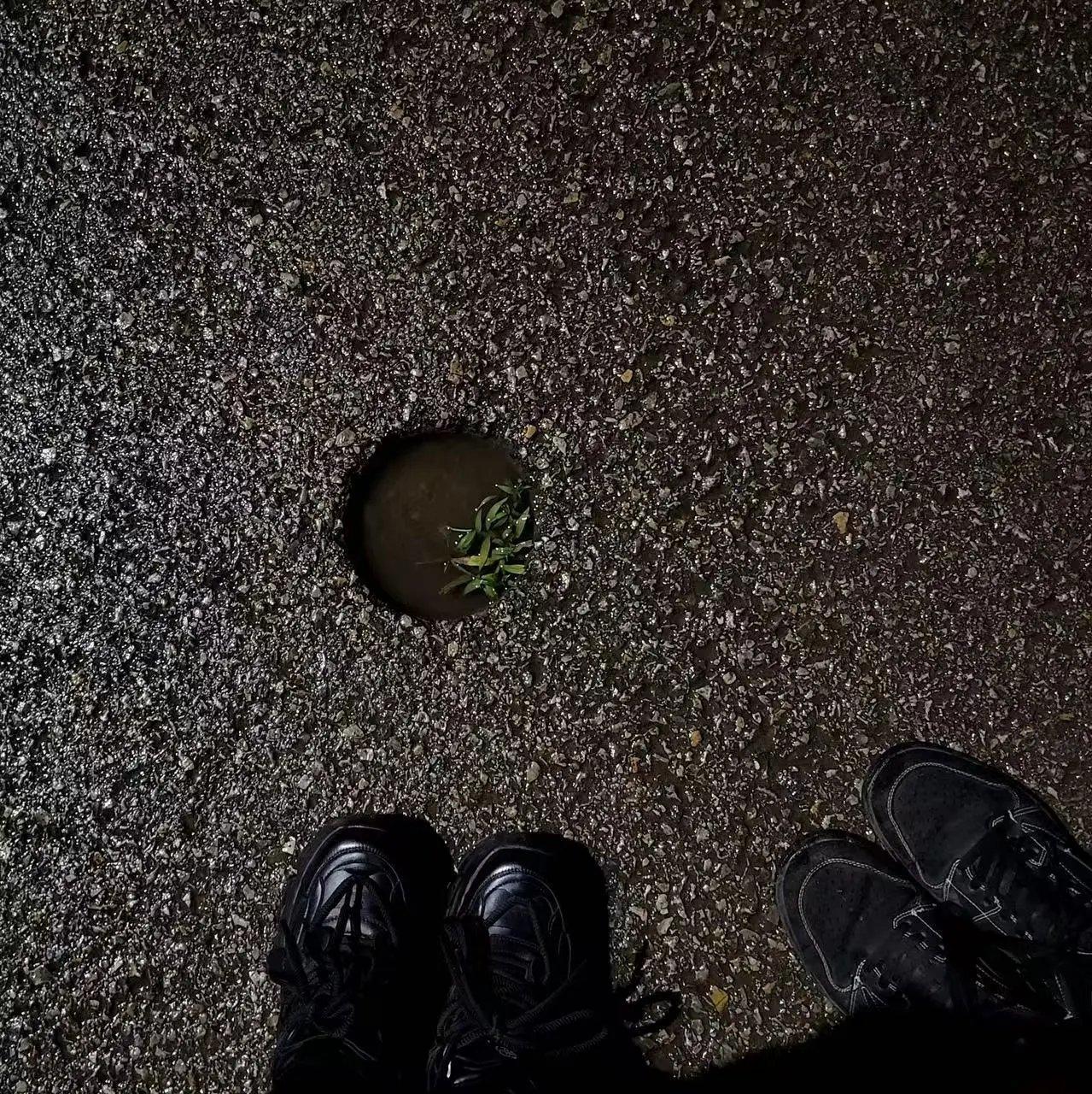 缘分是本书