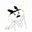 螚安Vivienne
