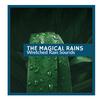 The Wet Paradise 3D Rain Music - Metallic Light Rain