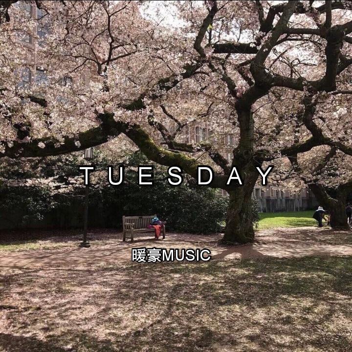 Tuesday