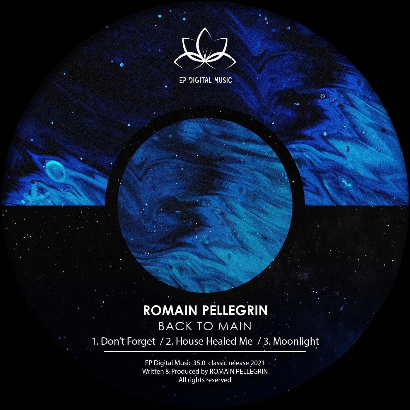 Romain Pellegrin - House Healed Me (Original Mix)