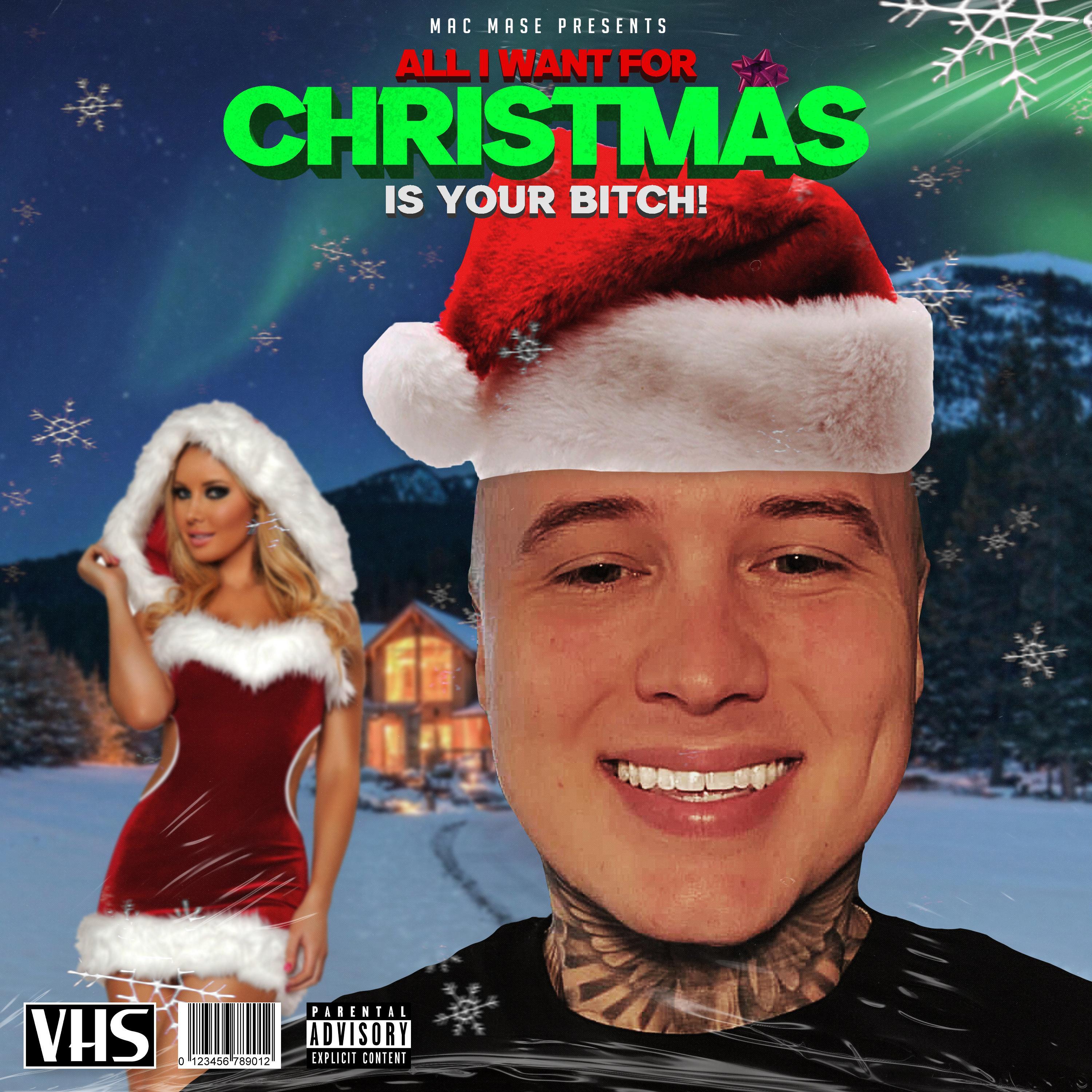 All I Want For Christmas Is Your *****