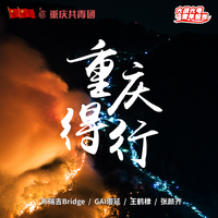 布瑞吉 Bridge GAI周延 王鹤棣 张颜齐 - 重庆得行(带和声伴奏) 制作版