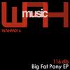 116 db - Big Fat Pony