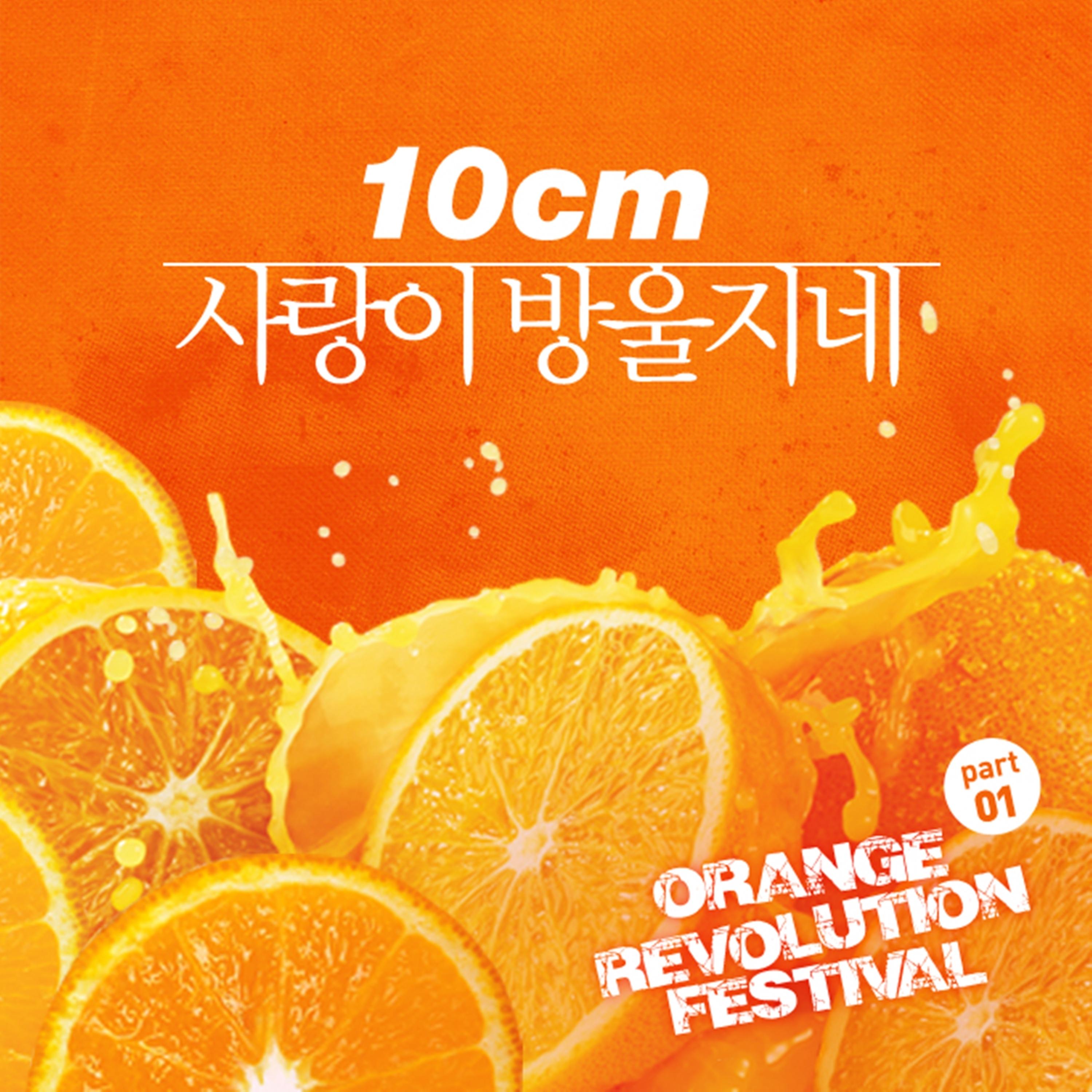 오렌지 레볼루션 페스티벌 Part.1