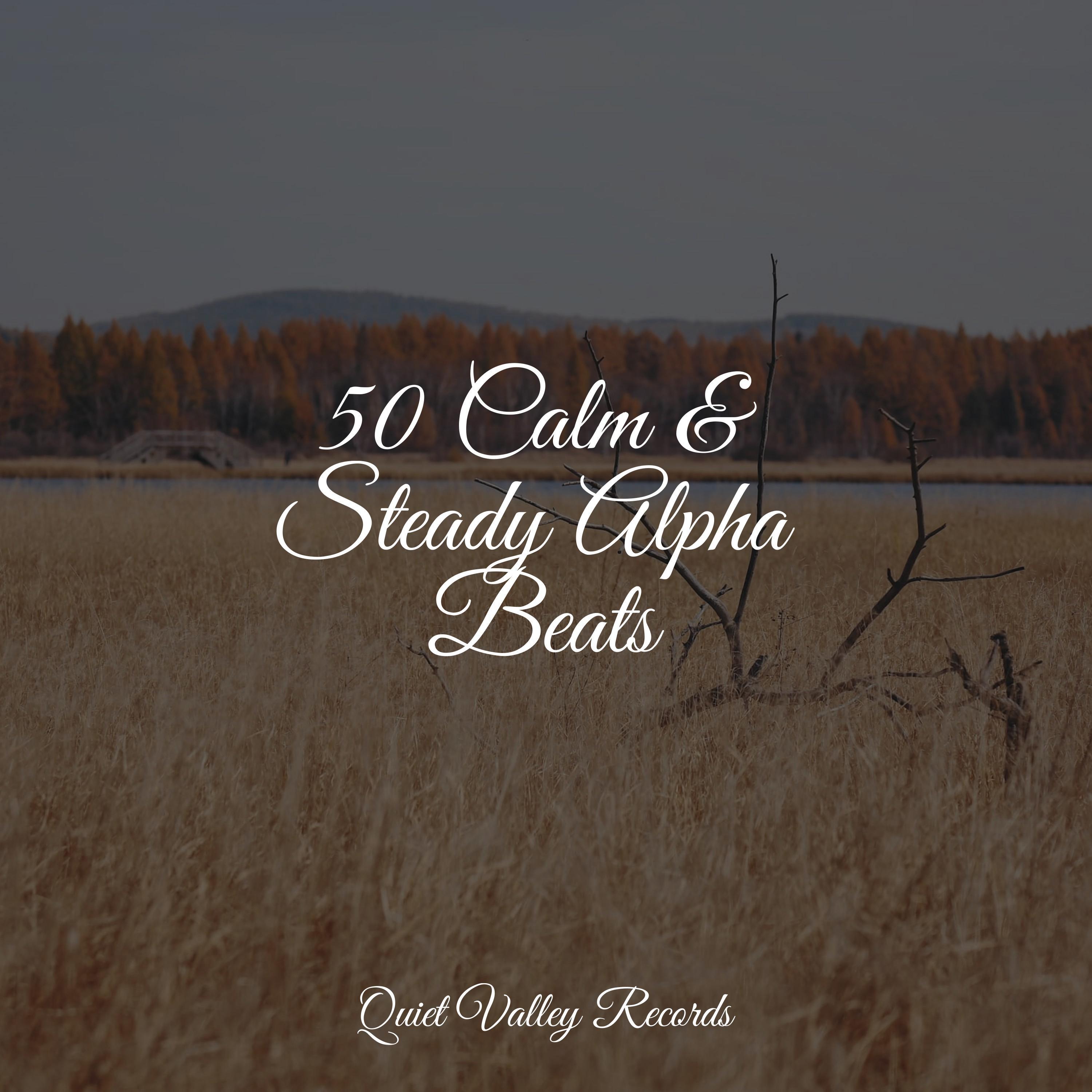 50 Calm & Steady Alpha Beats