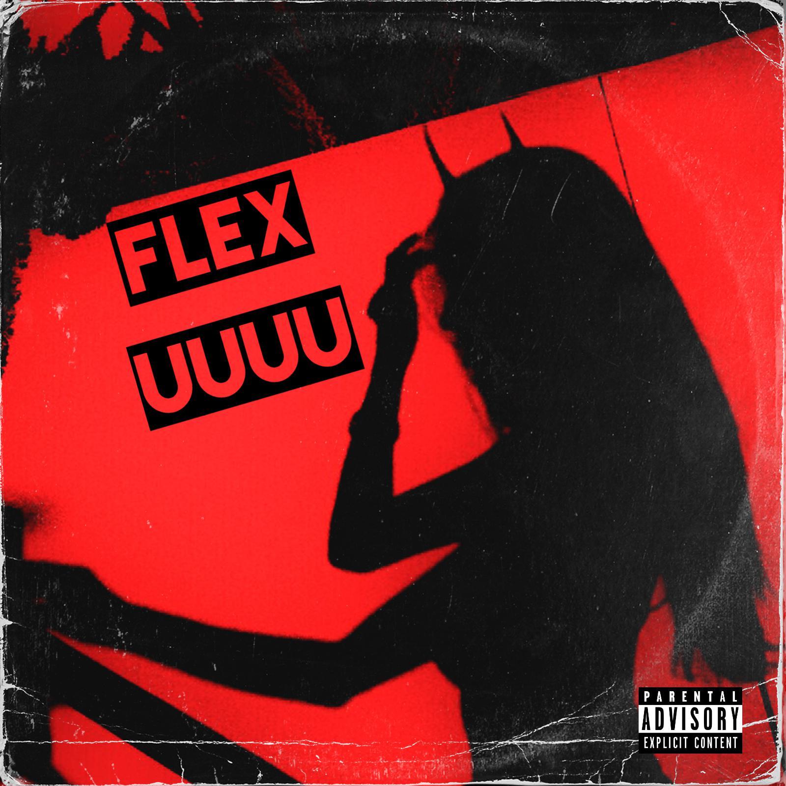 Flex Uuuu专辑