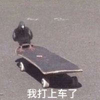 祖国之恋·高音质原版伴奏(王丽达)