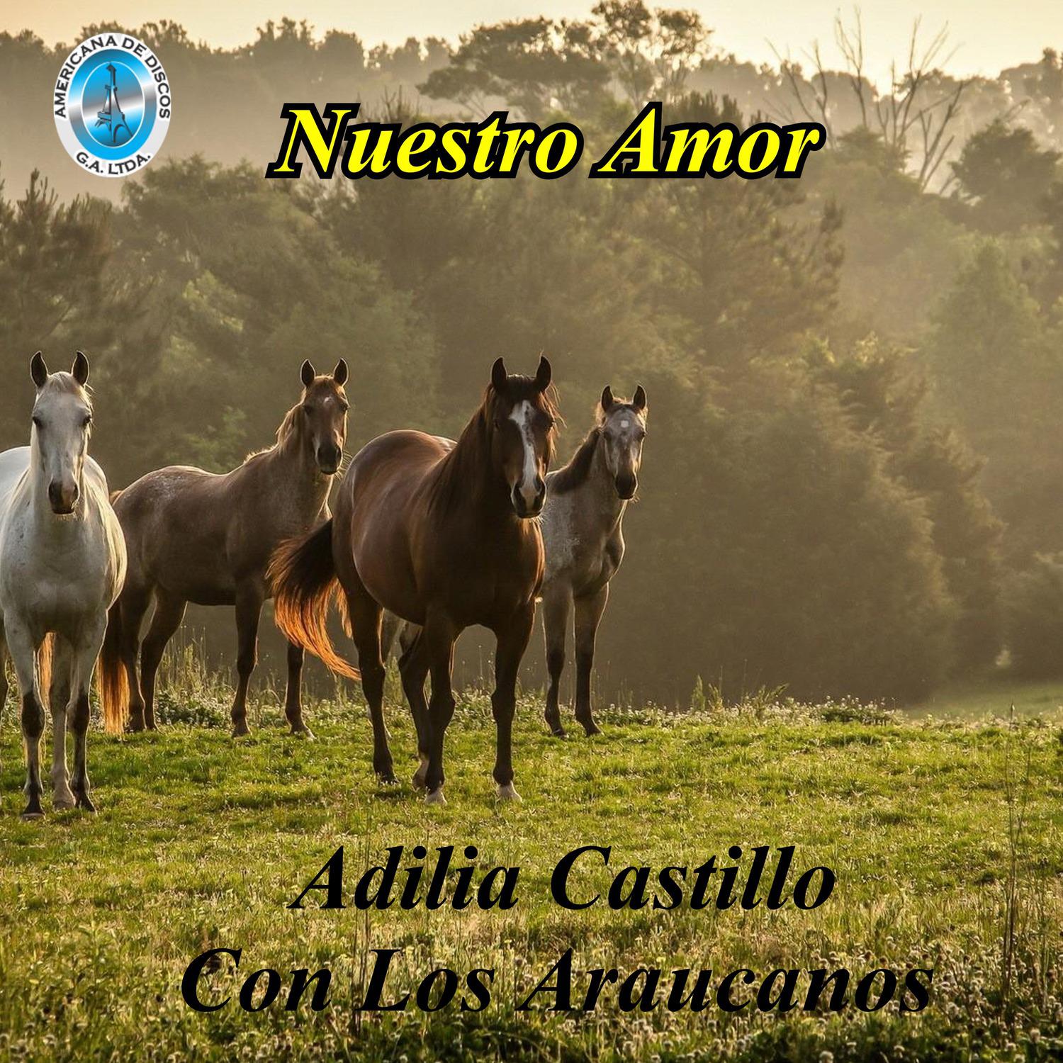Adilia Castillo - Luna de Enero