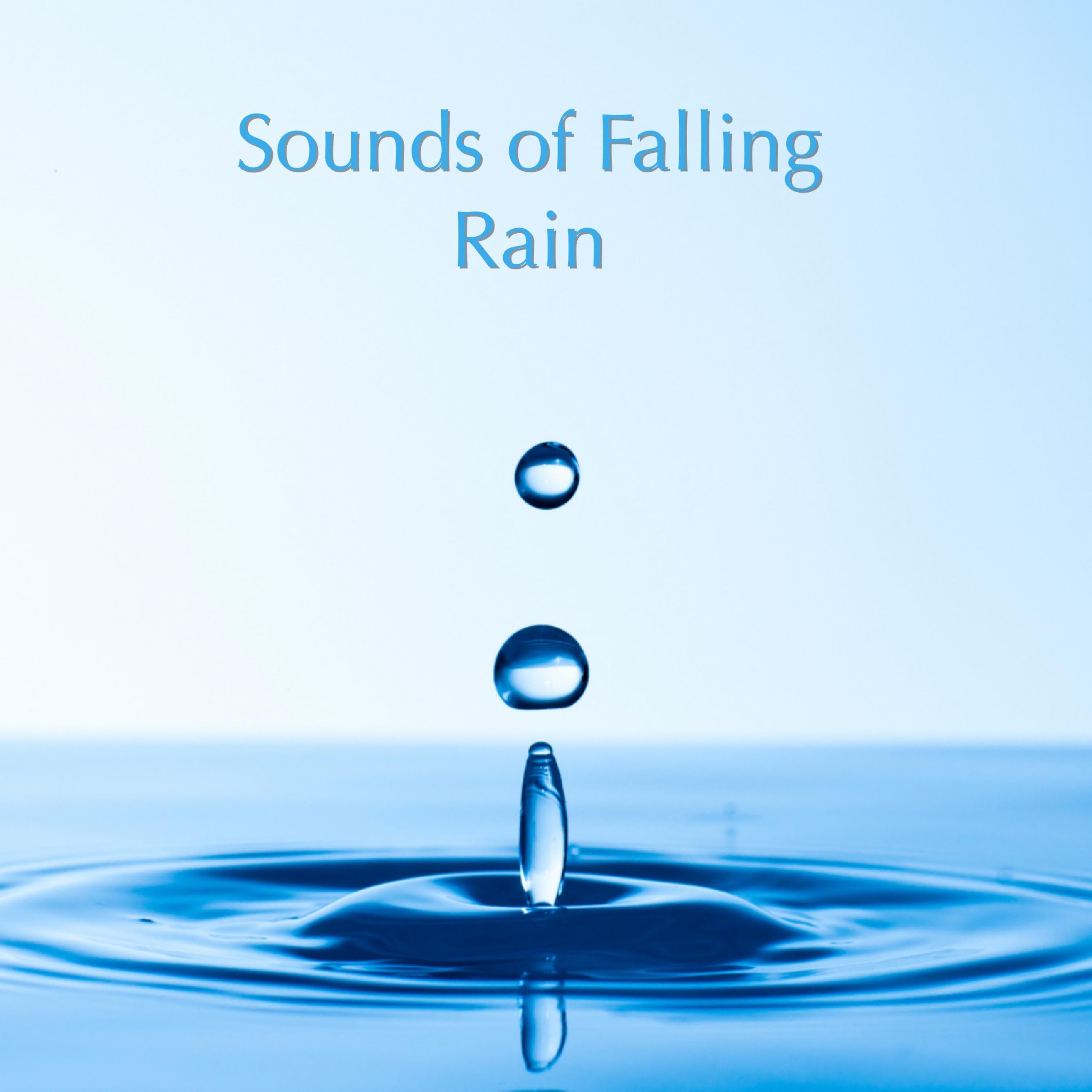 Sounds of Falling Rain专辑