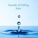 Sounds of Falling Rain专辑