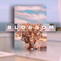 R&B BoomBap Type Beat "Blossom"