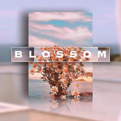 R&B BoomBap Type Beat "Blossom"