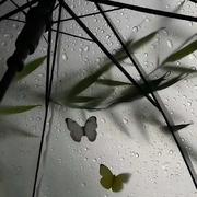 侧脸（yy鼓版）