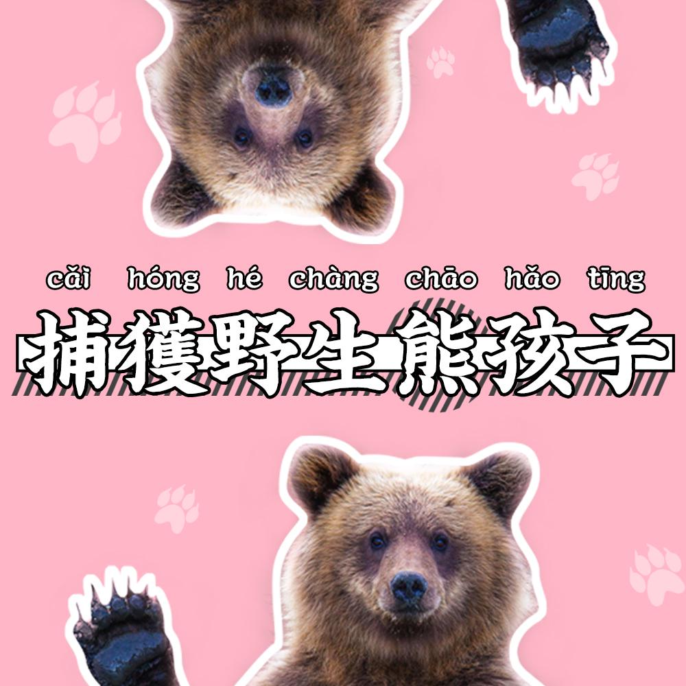 捕获野生熊孩子