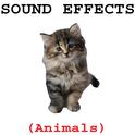 Animal Sound Effects专辑