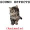 Animal Sound Effects专辑