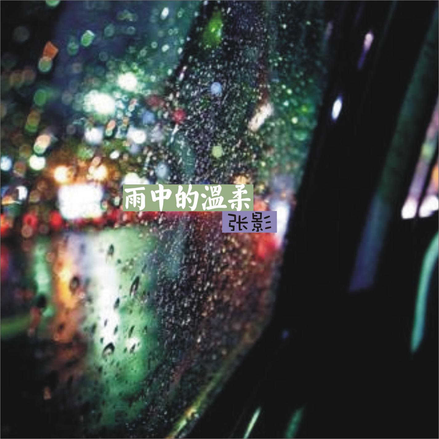 雨中的温柔专辑