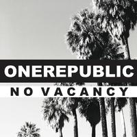 OneRepublic - No Vacancy (Instrumental) 原版无和声伴奏