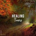 #14 Healing Tones for Meditation and Sleep专辑