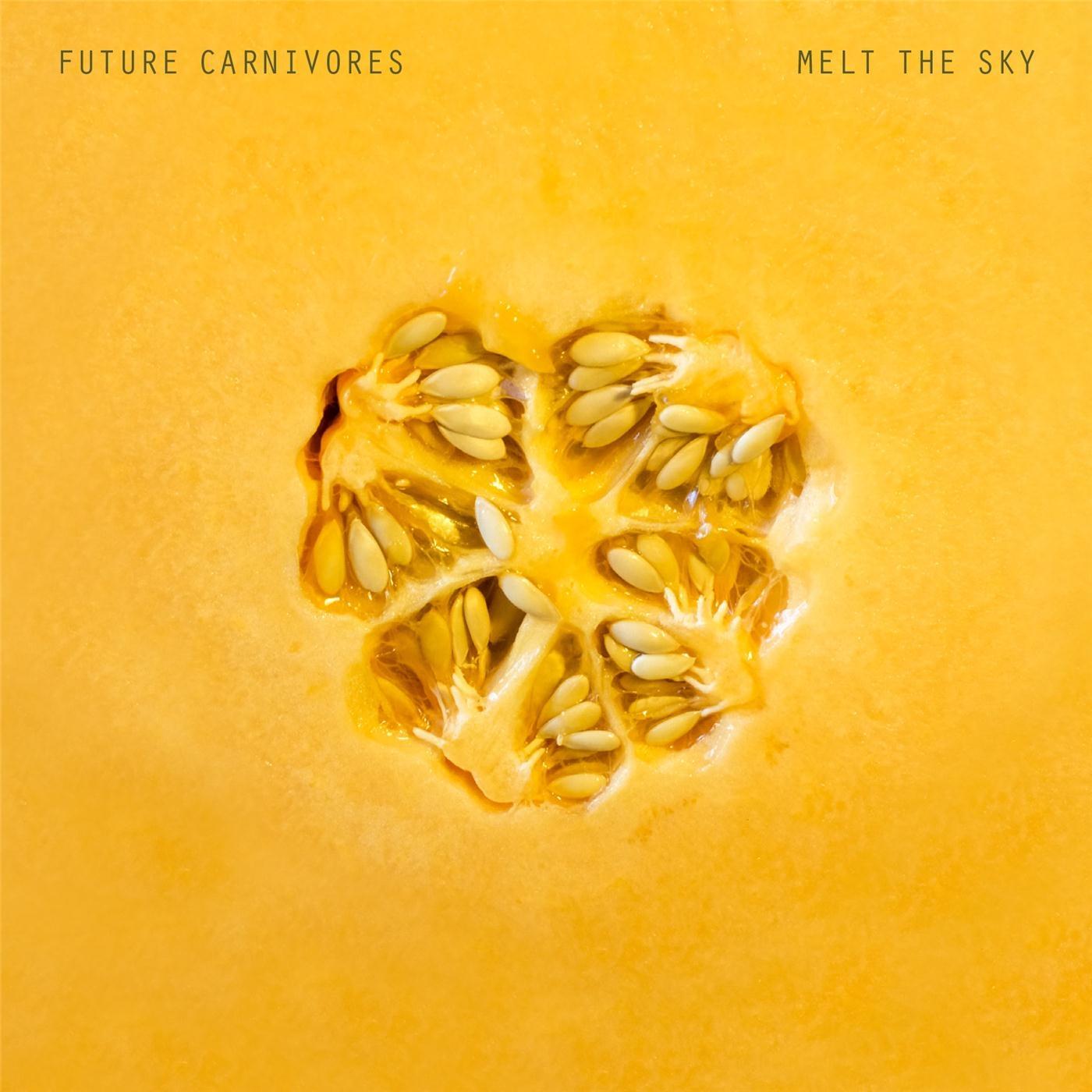 Melt the Sky